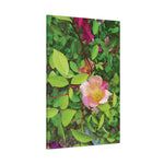 Stretched Matte Canvas - Flower of Rose