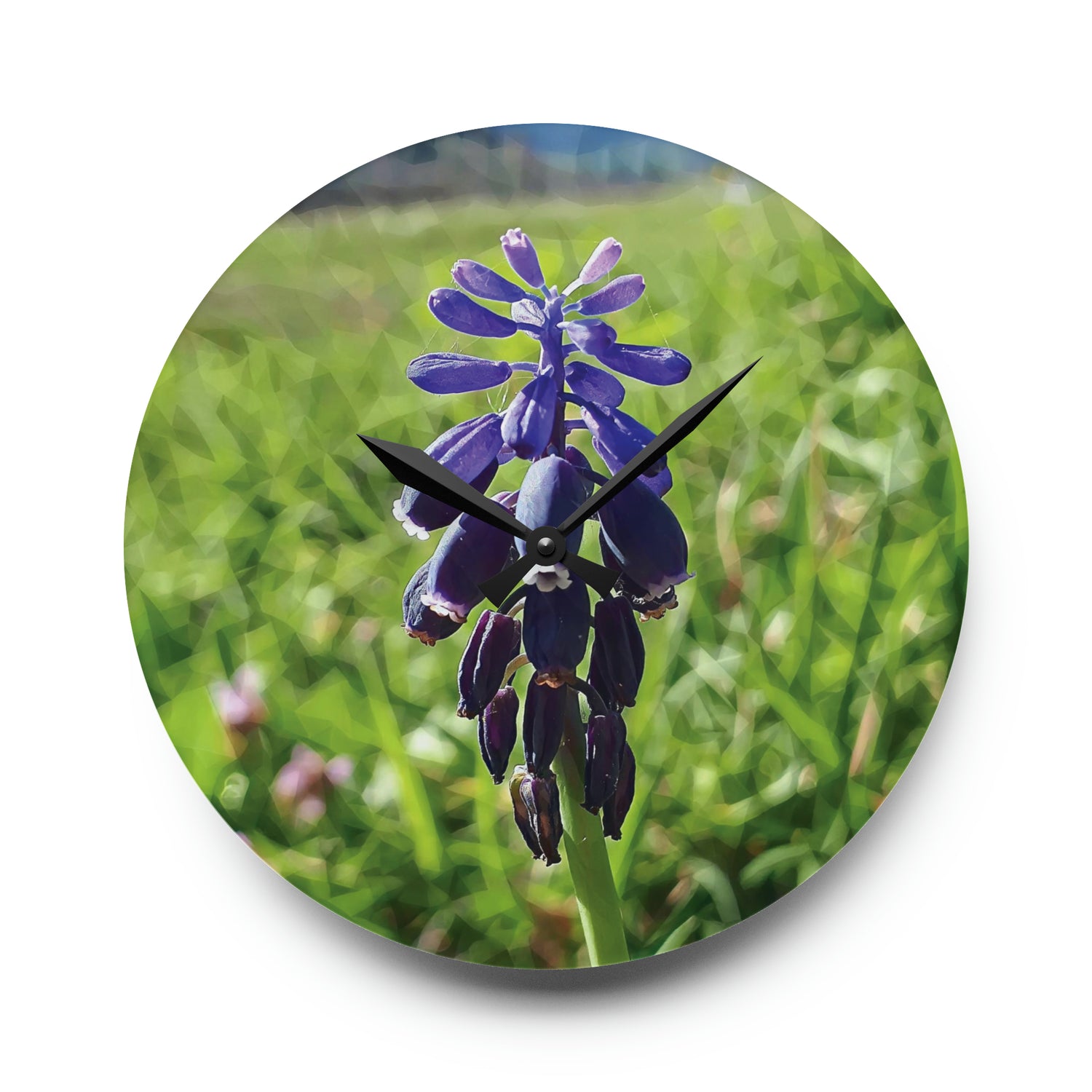 Acrylic Wall Clock - Poly Art - Flower of Muscari