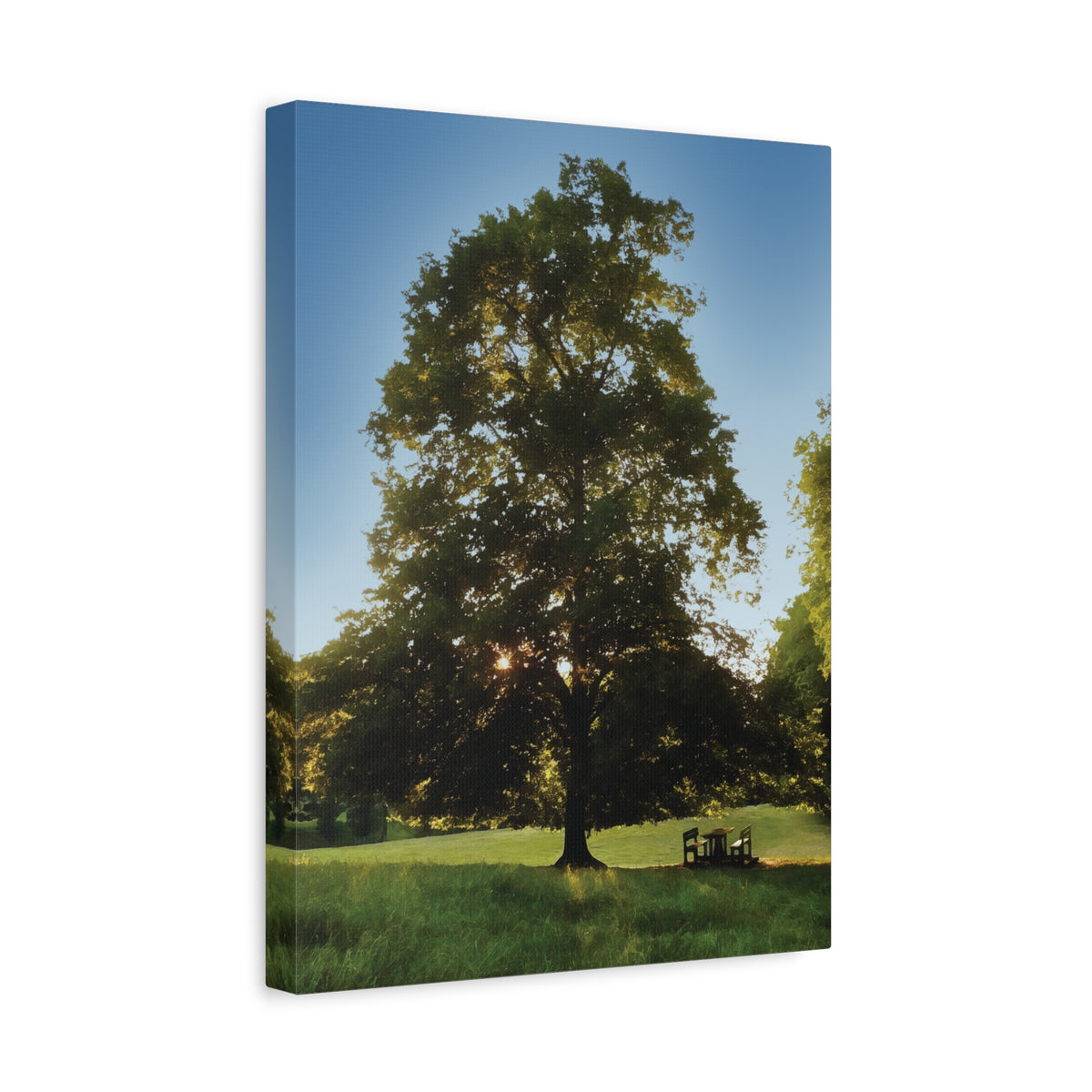 Stretched Matte Canvas - Tree in a lawn (Variant 1)
