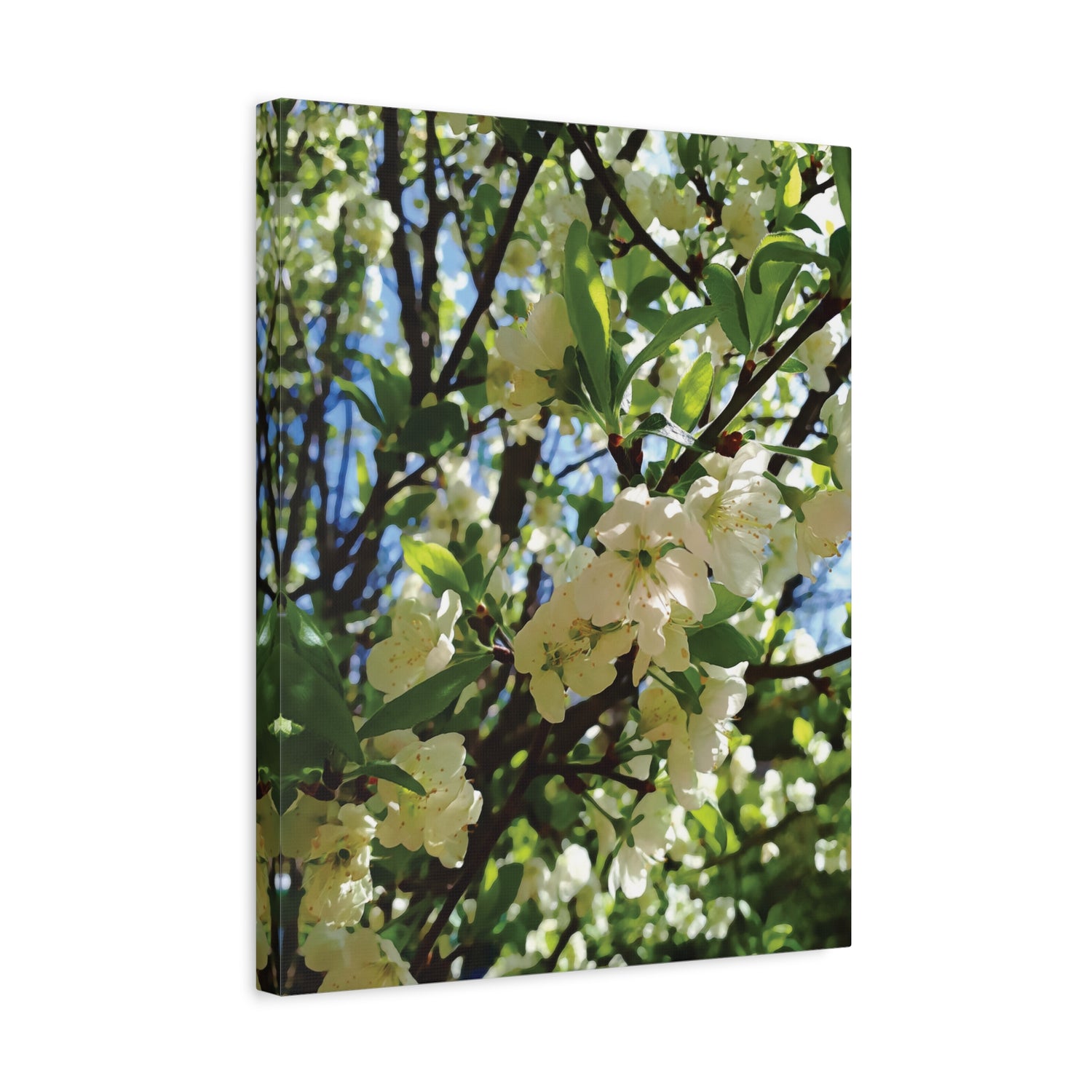 Stretched Matte Canvas - Apple's Tree Flower