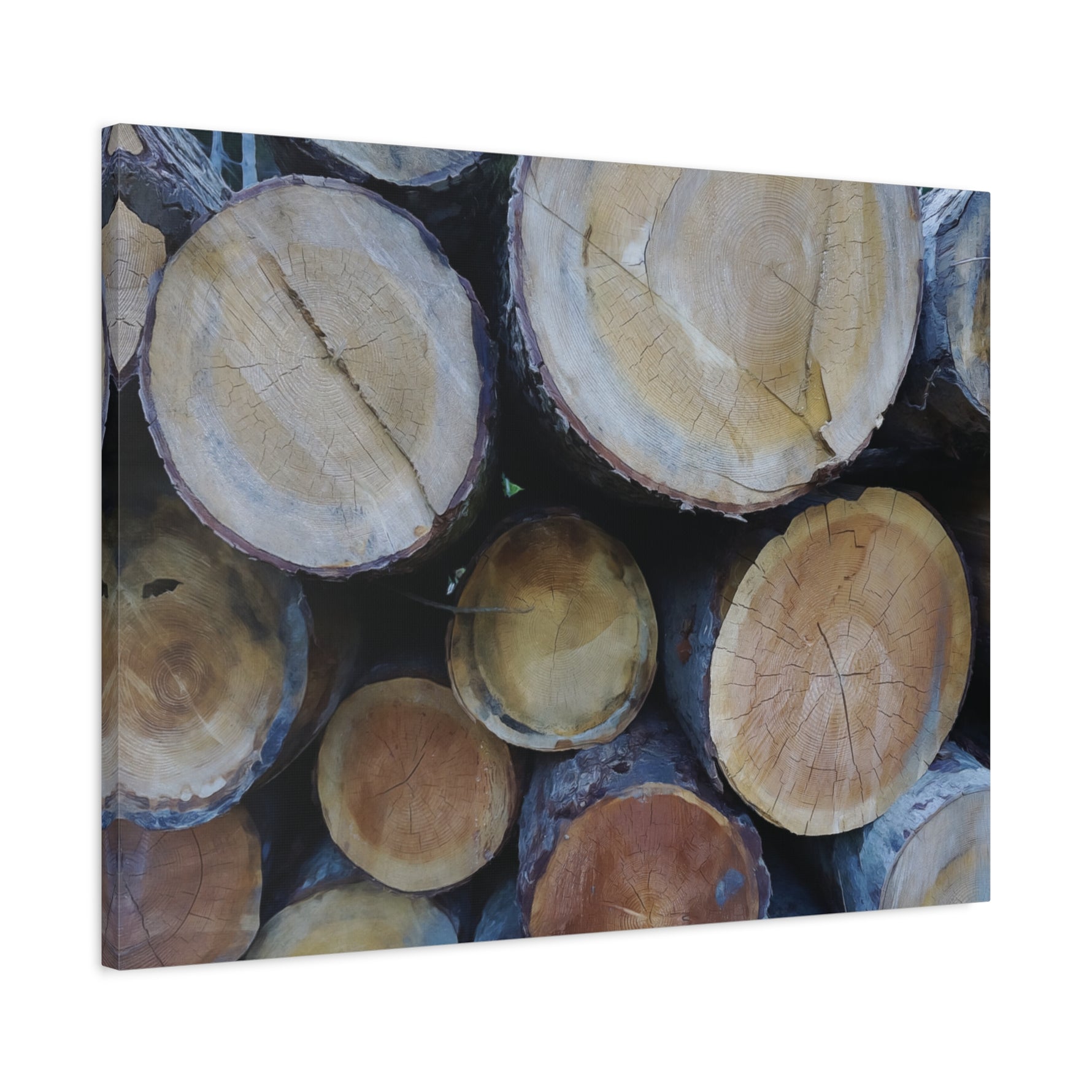 Stretched Matte Canvas - Wooden Trunks (Variant 2)