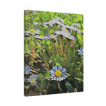 Stretched Matte Canvas - Poly Art - Flower of Daisies (Variant 1)