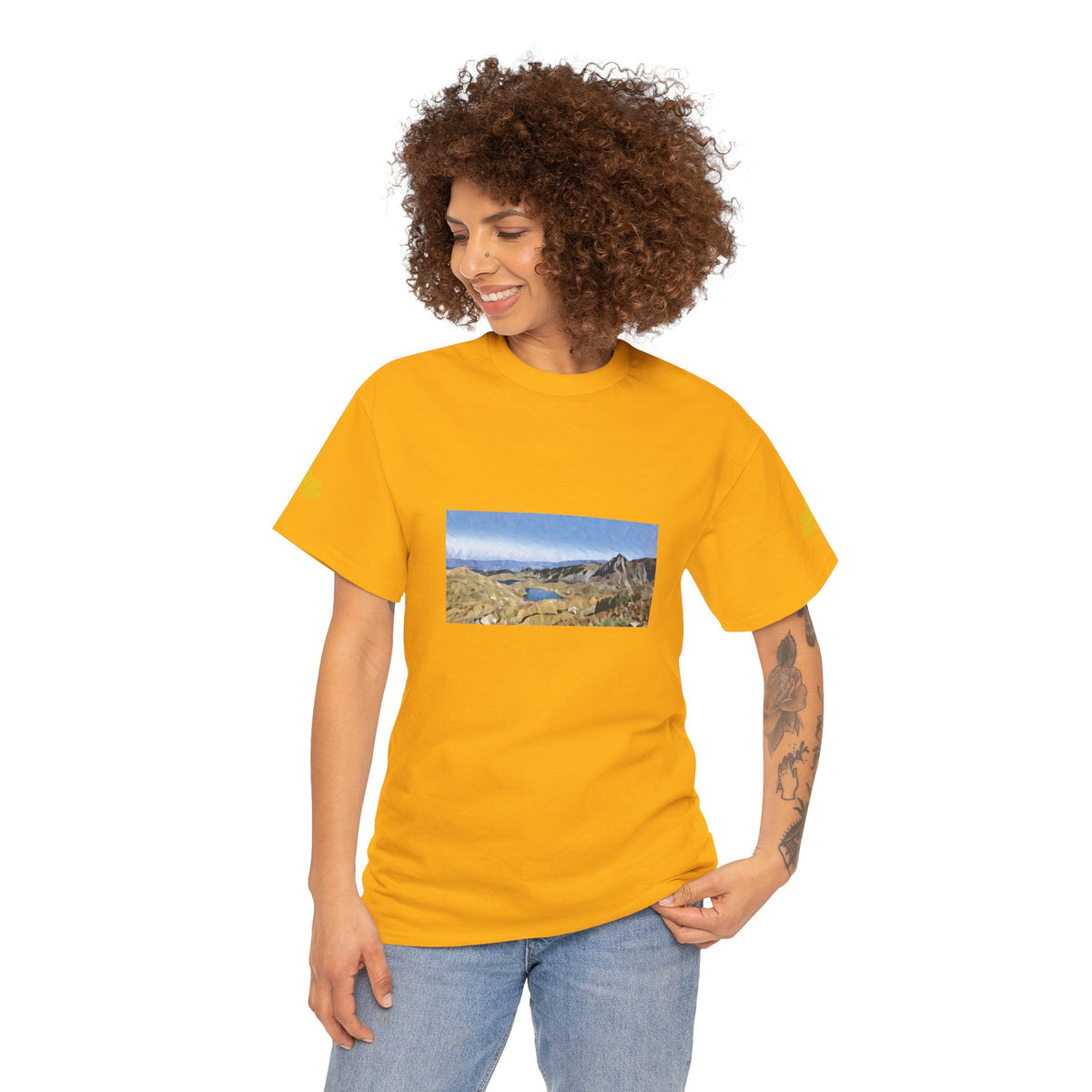 Unisex Heavy Cotton Tee - Poly Art - Rila Lakes