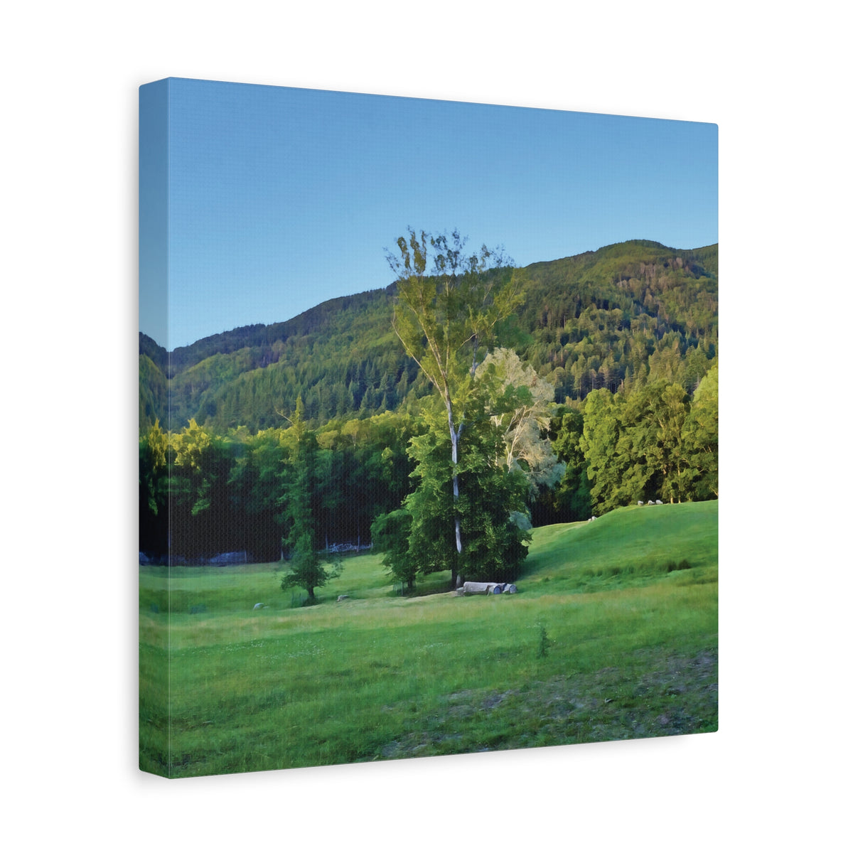 Stretched Matte Canvas - Tree in a lawn (Variant 3)