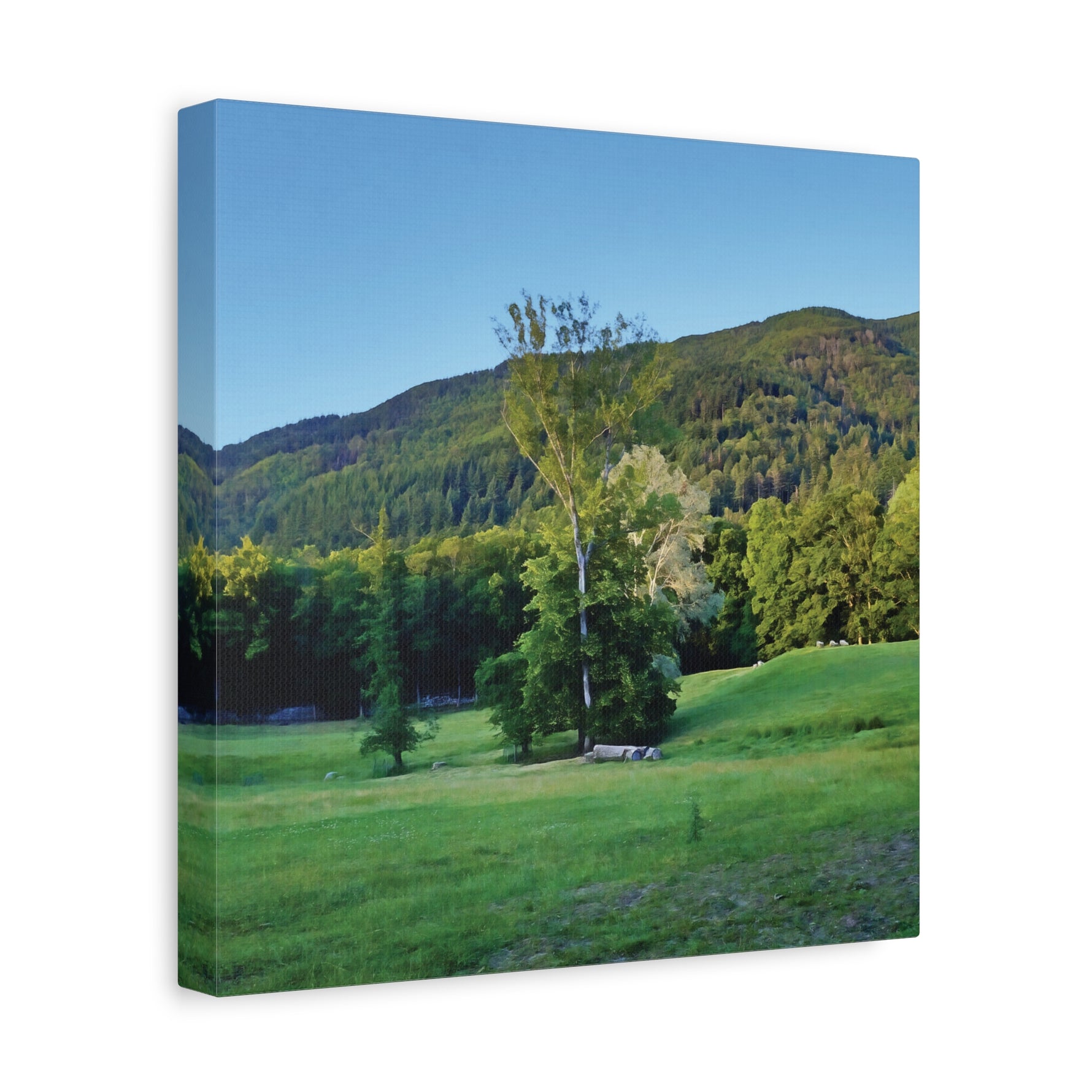 Stretched Matte Canvas - Tree in a lawn (Variant 3)