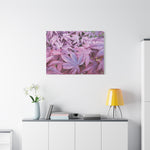 Stretched Matte Canvas - Acer Palmatum's Leaves