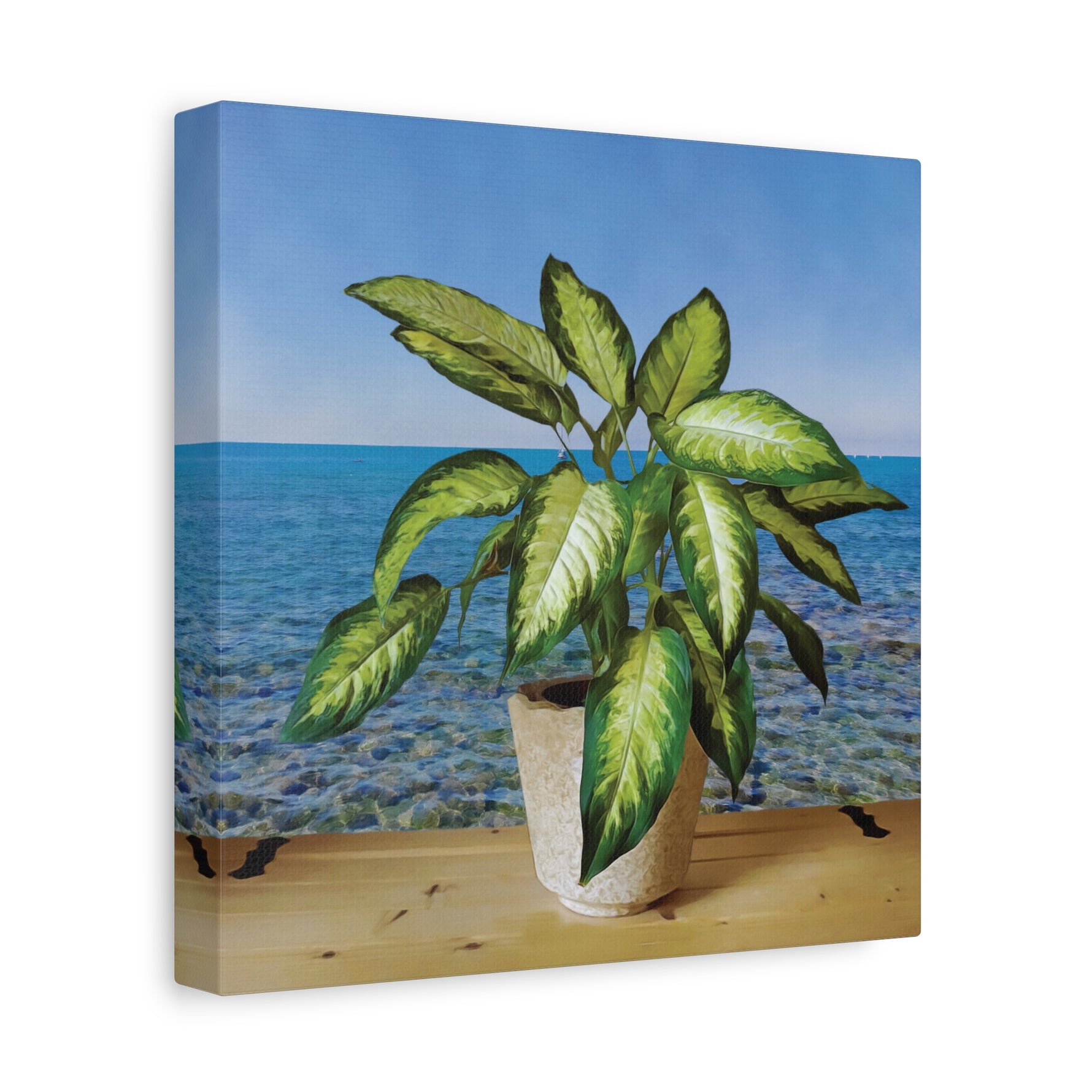 Stretched Matte Canvas - Dieffenbachia plant and Sea Landscape