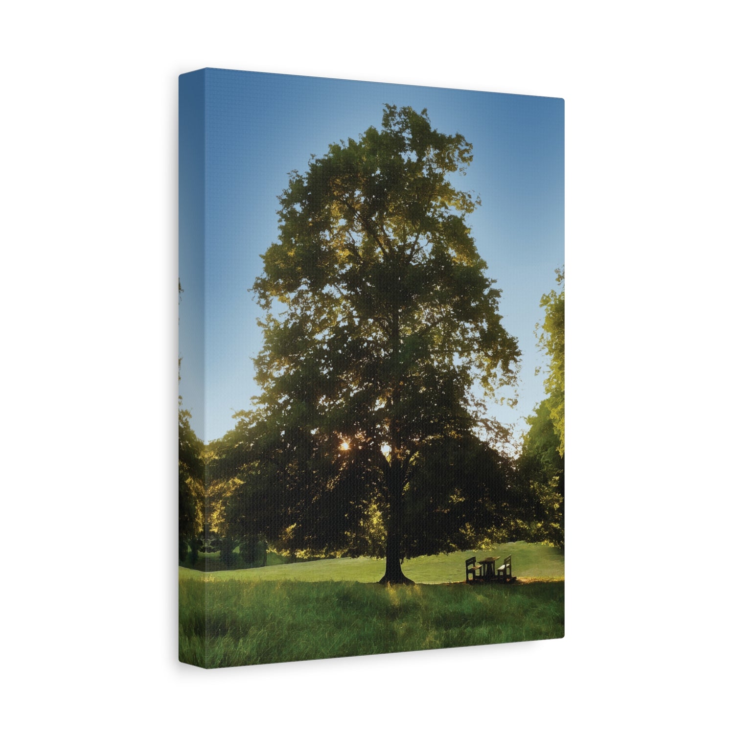 Stretched Matte Canvas - Tree in a lawn (Variant 1)