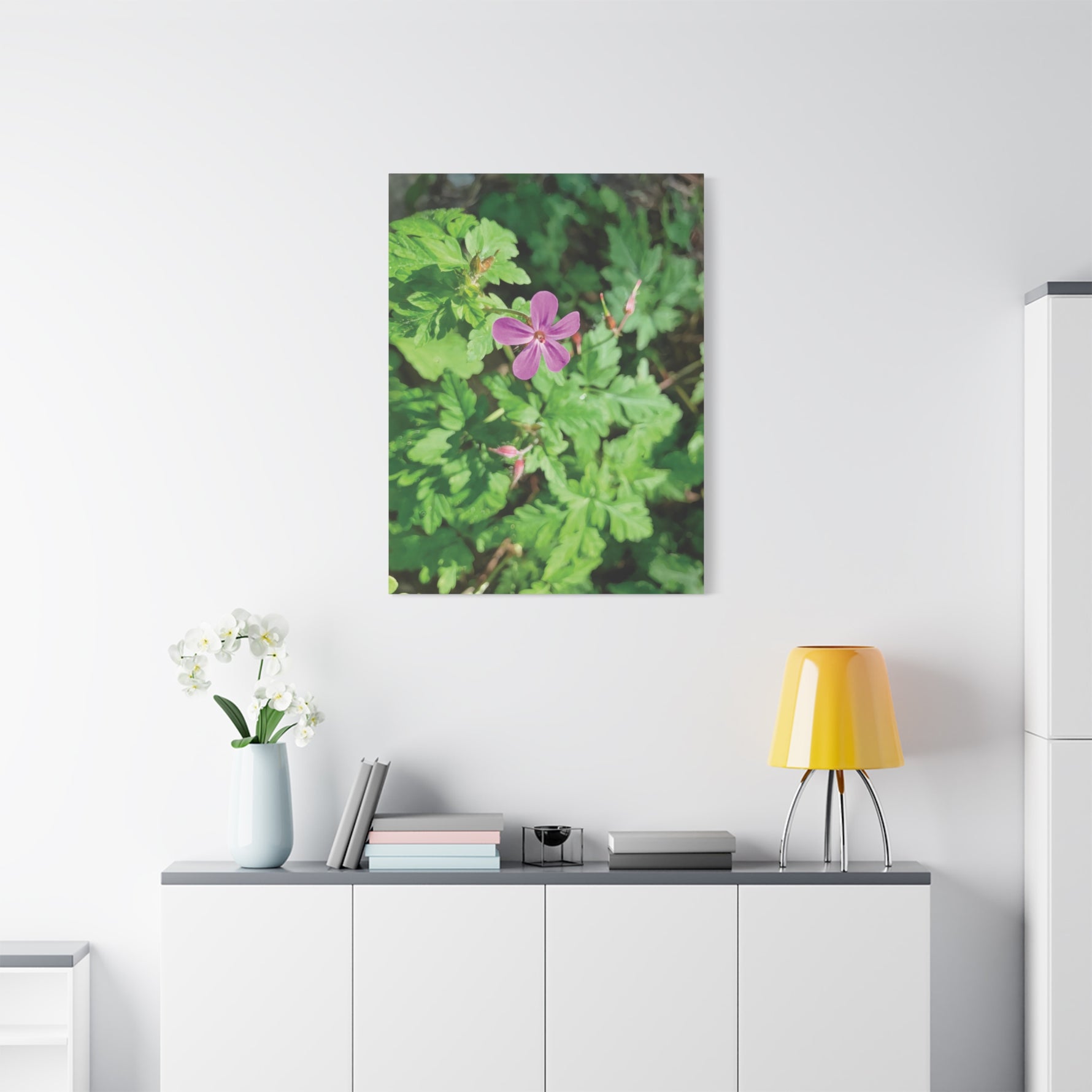 Stretched Matte Canvas - Flower of Geranium Robertianum