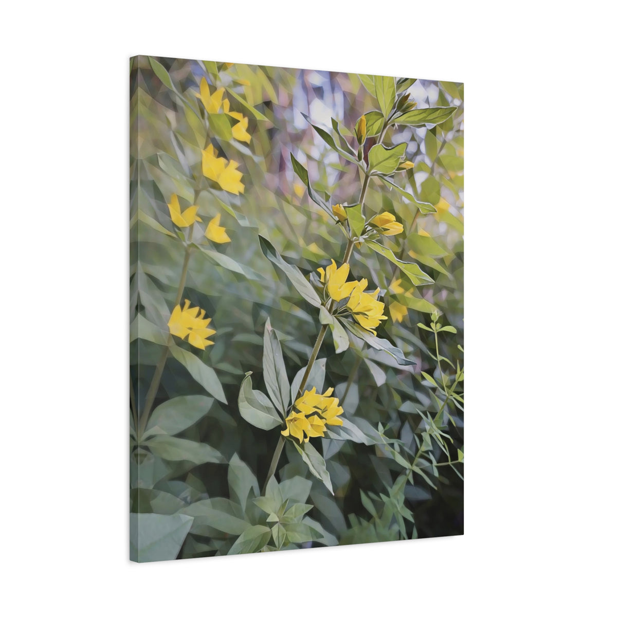 Stretched Matte Canvas - Poly Art - Flower of Lysimachia