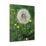 Stretched Matte Canvas - Flower of Dandelion