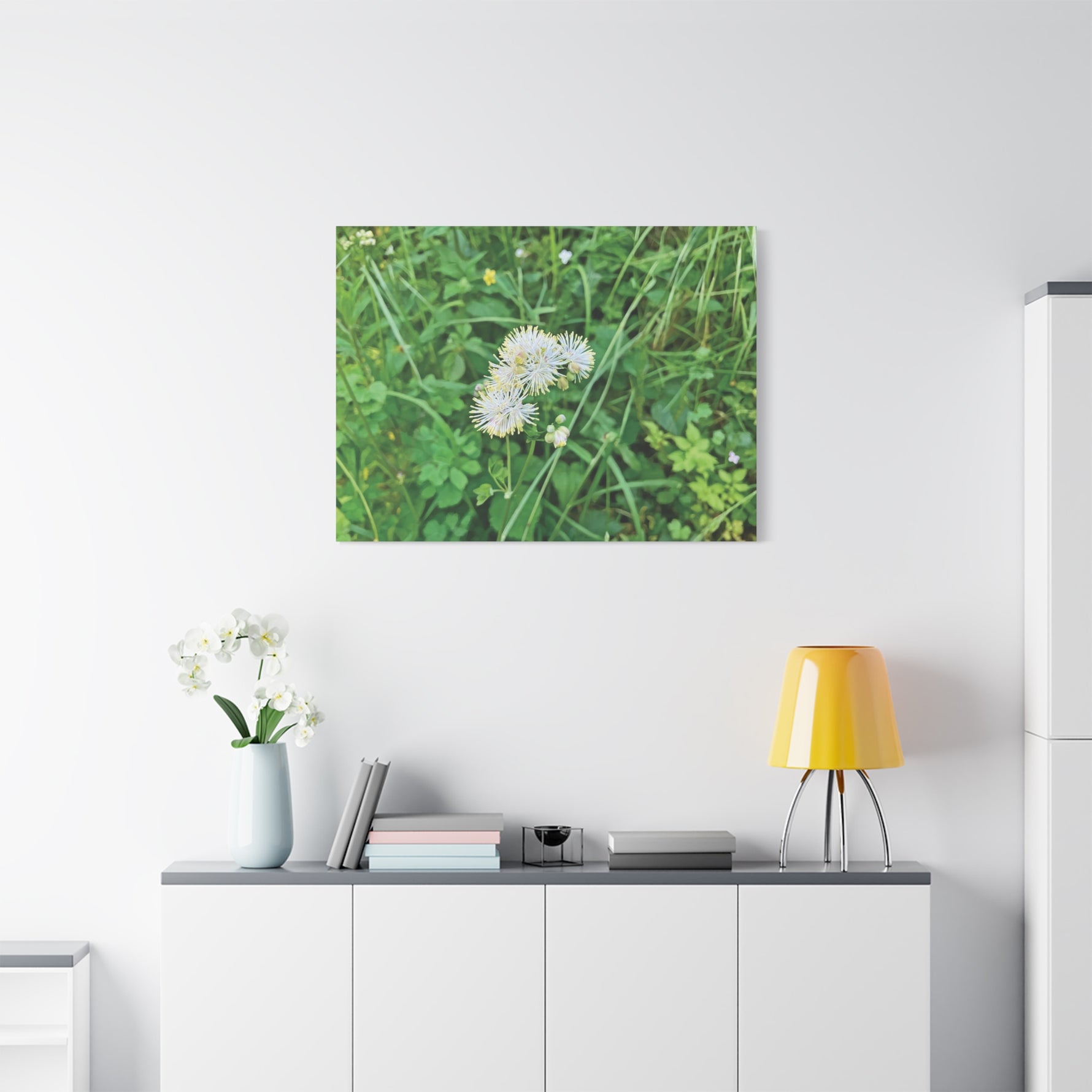 Stretched Matte Canvas - Flower of Thalictrum Aquilegiifolium