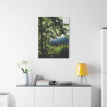 Stretched Matte Canvas - Forest