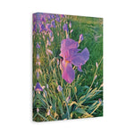 Stretched Matte Canvas - Flower of Iris