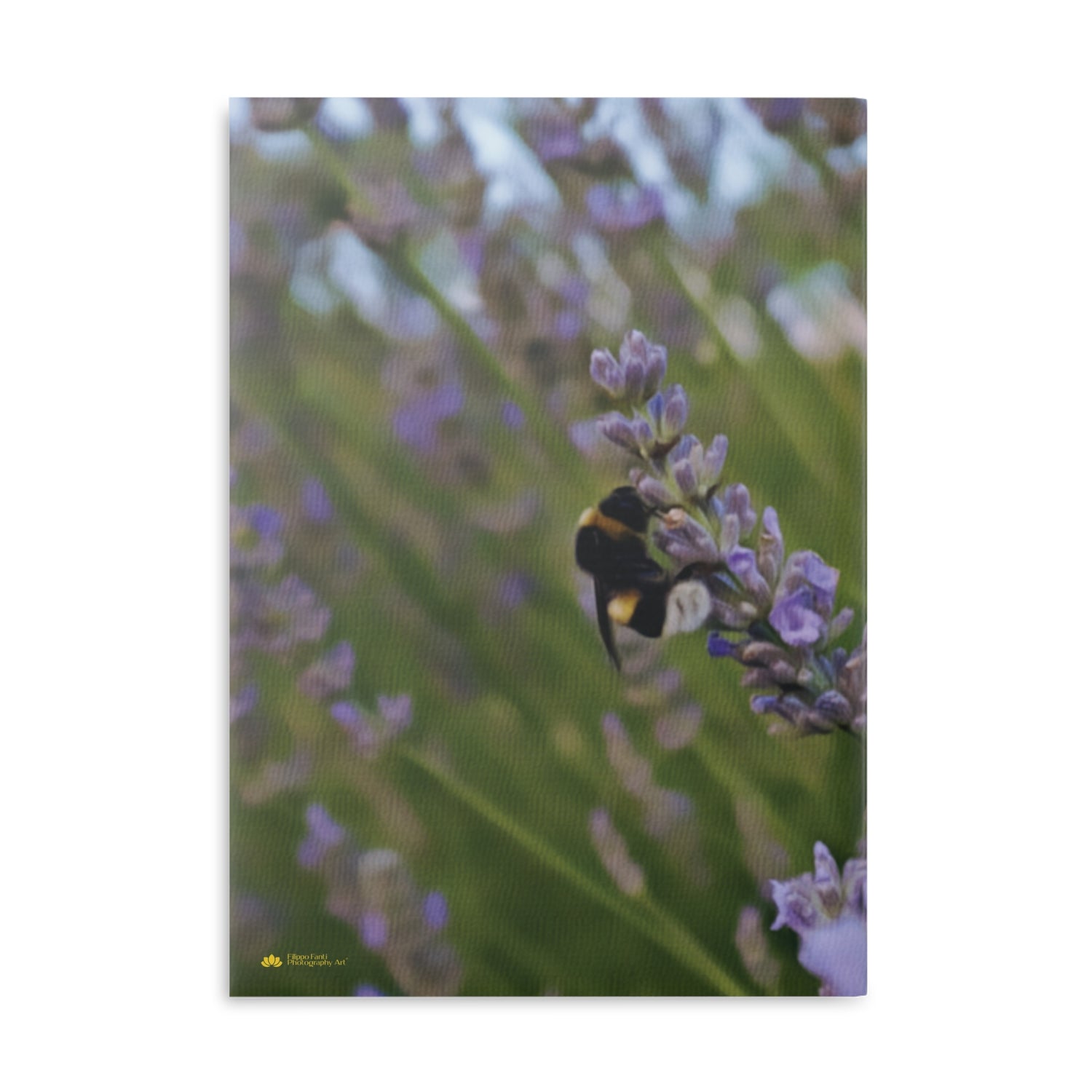 Hardcover Notebook with Puffy Covers - Flower of Lavender with Bombus Insect (Variant 2)