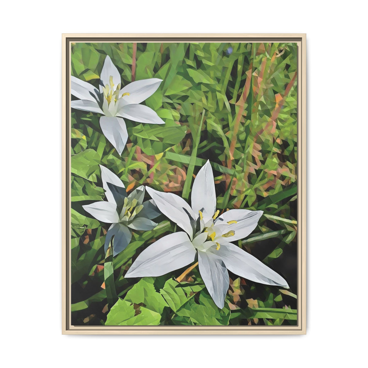 Ornithogalum Blossom | Poly Art | Framed Canvas