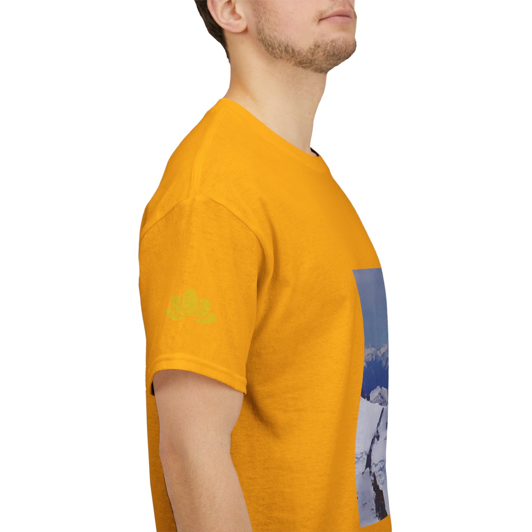 Unisex Heavy Cotton Tee - View from Mont Blanc