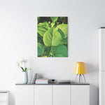 Stretched Matte Canvas - Syringa vulgaris Leaves