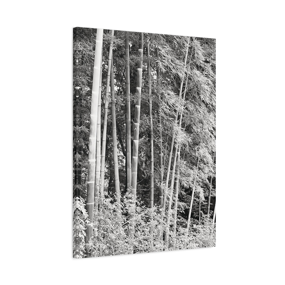Stretched Matte Canvas - Bamboo (B&W variant)