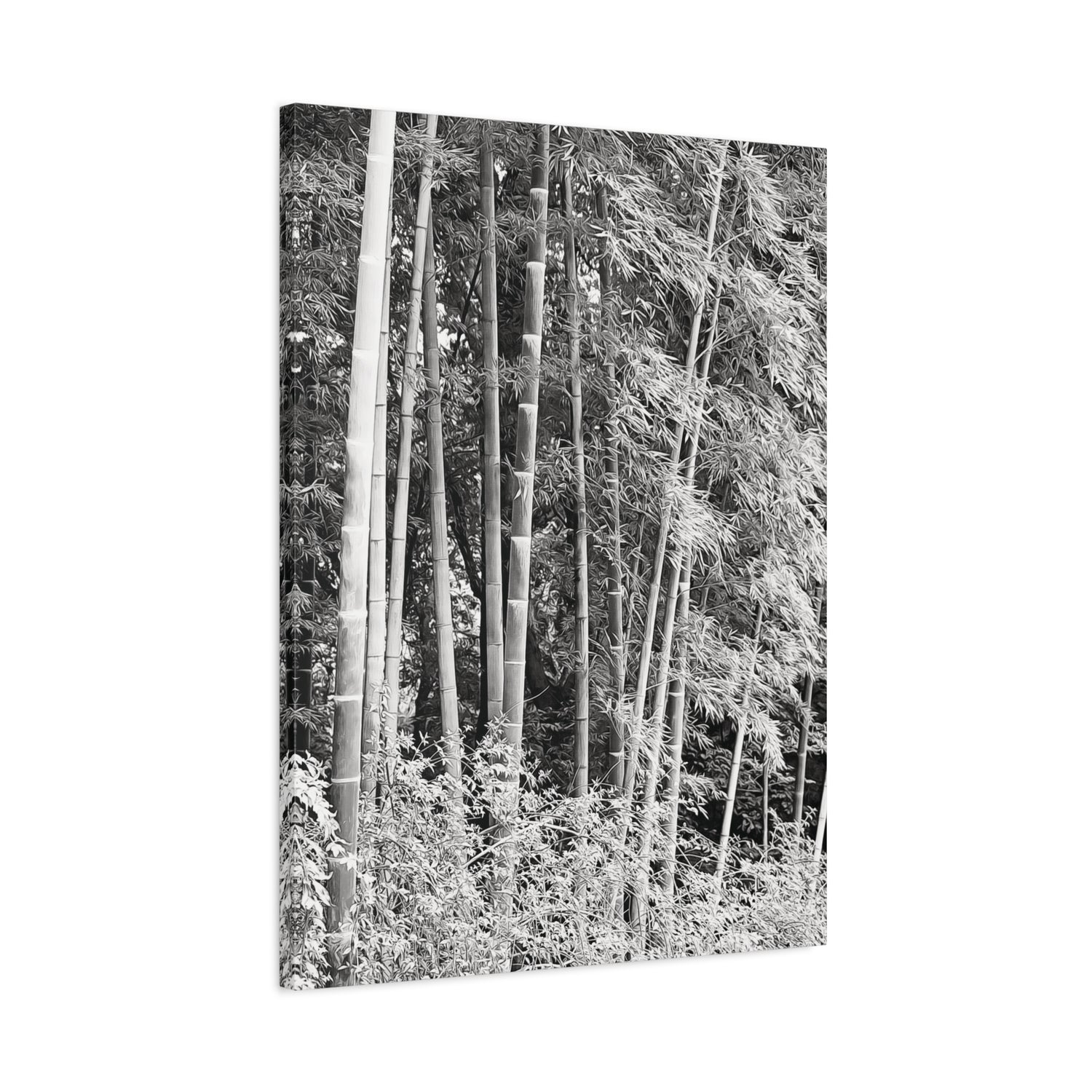 Stretched Matte Canvas - Bamboo (B&W variant)