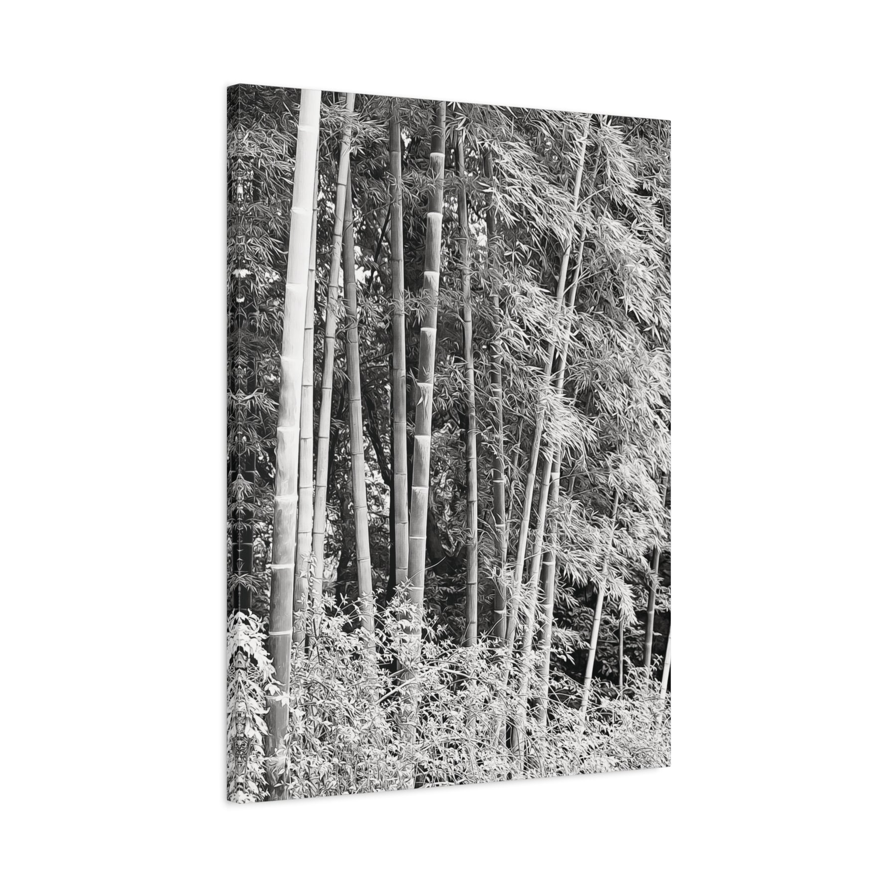 Stretched Matte Canvas - Bamboo (B&W variant)