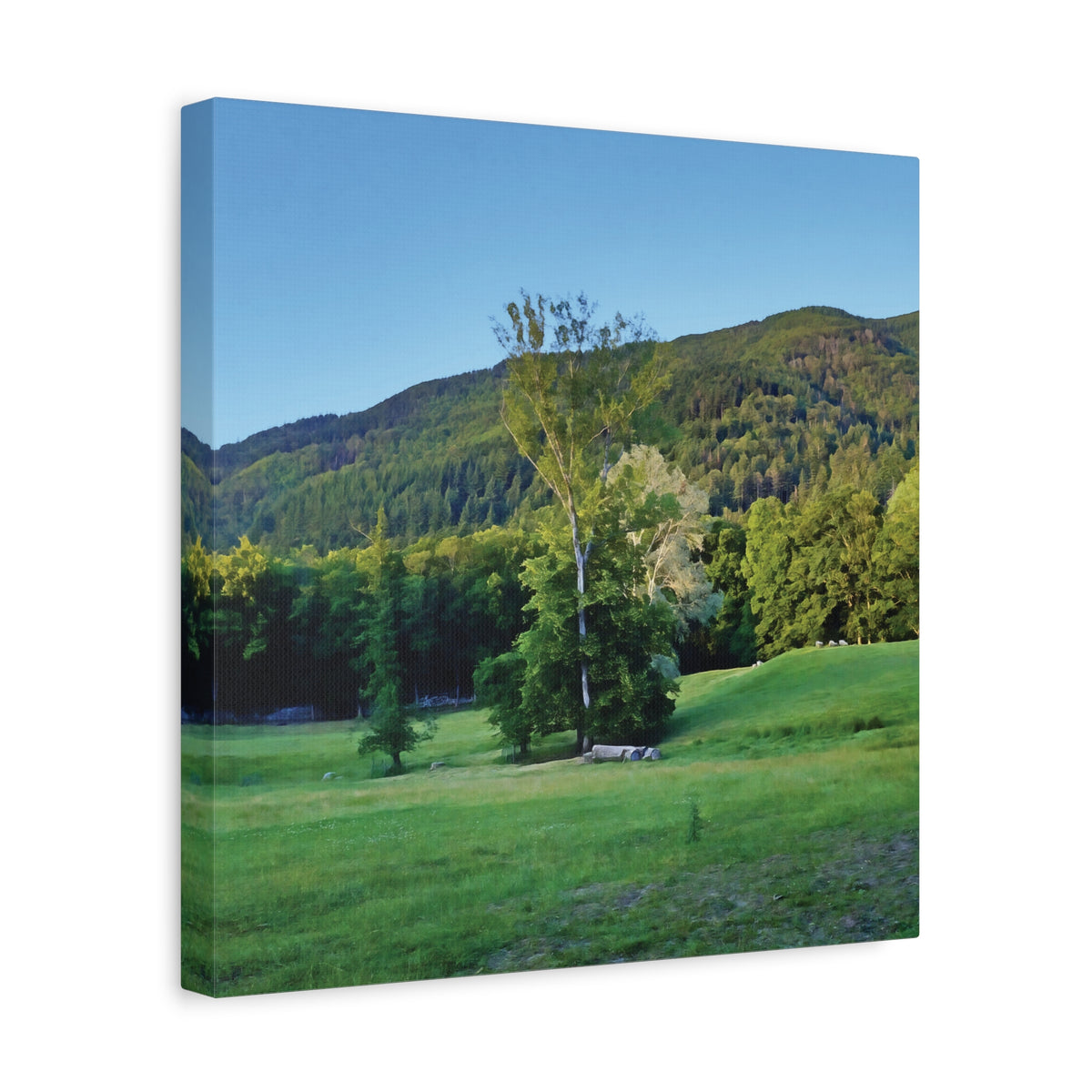 Stretched Matte Canvas - Tree in a lawn (Variant 3)