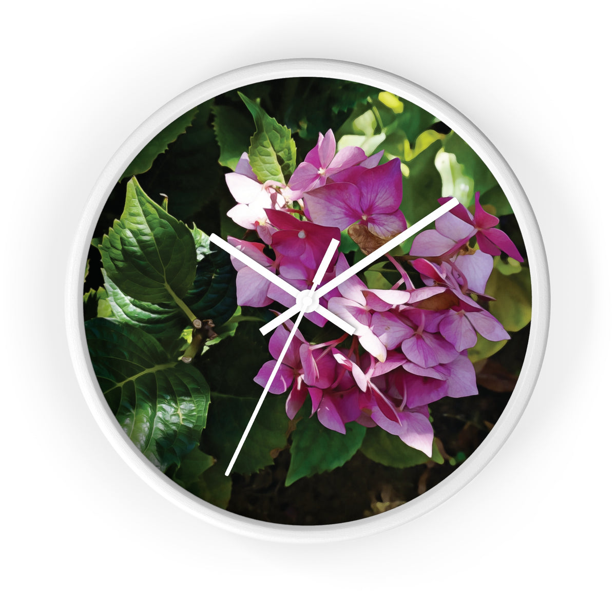 Wall Clock - Flower of Ortensia/Hydrangea Macrophylla