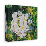 Stretched Matte Canvas - Poly Art - Flower, White