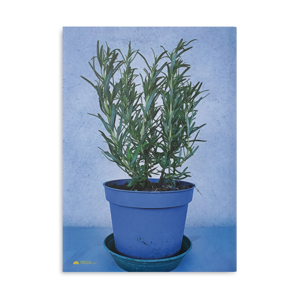 Hardcover Notebook with Puffy Covers - Rosemary plant