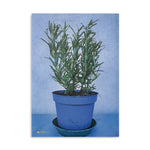 Hardcover Notebook with Puffy Covers - Rosemary plant