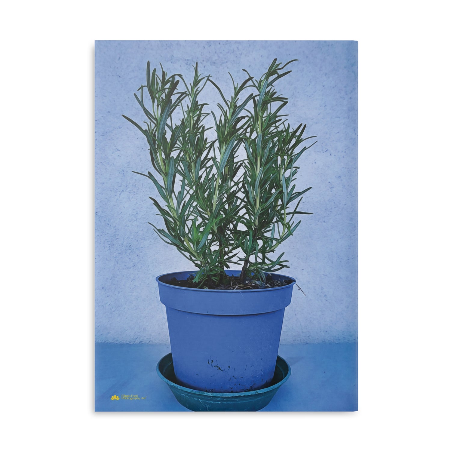 Hardcover Notebook with Puffy Covers - Rosemary plant