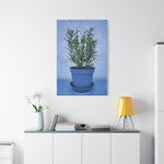 Stretched Matte Canvas - Rosemary Plant