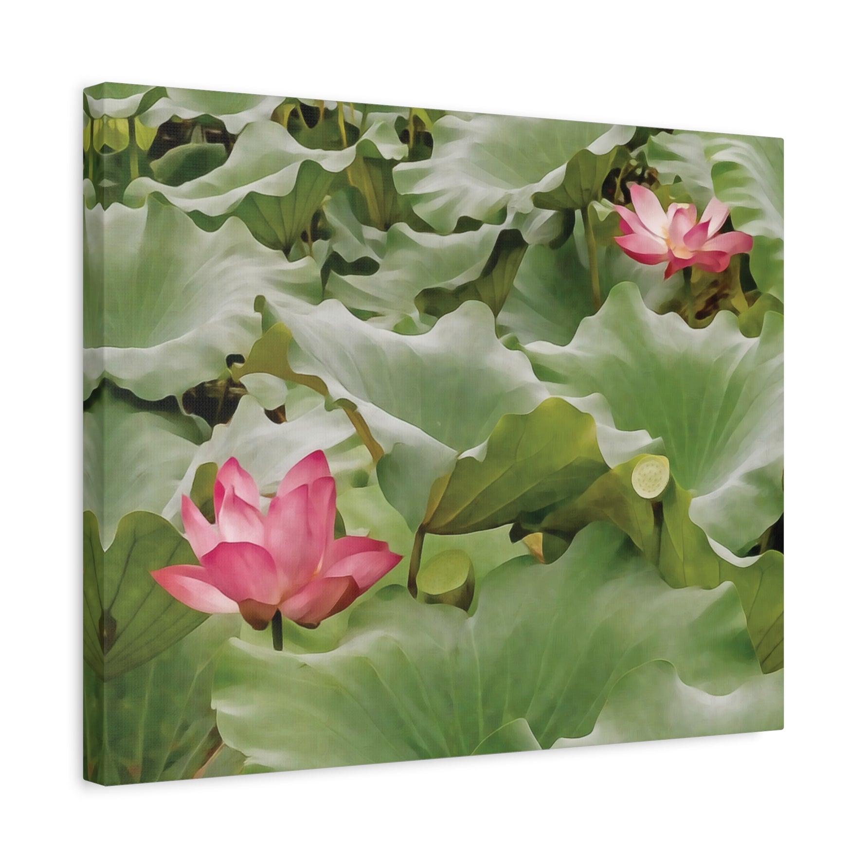 Stretched Matte Canvas - Flower of Lotus