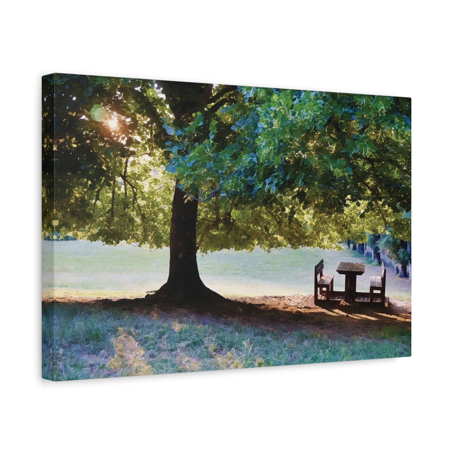 Stretched Matte Canvas - Tree in a lawn (Variant 2)