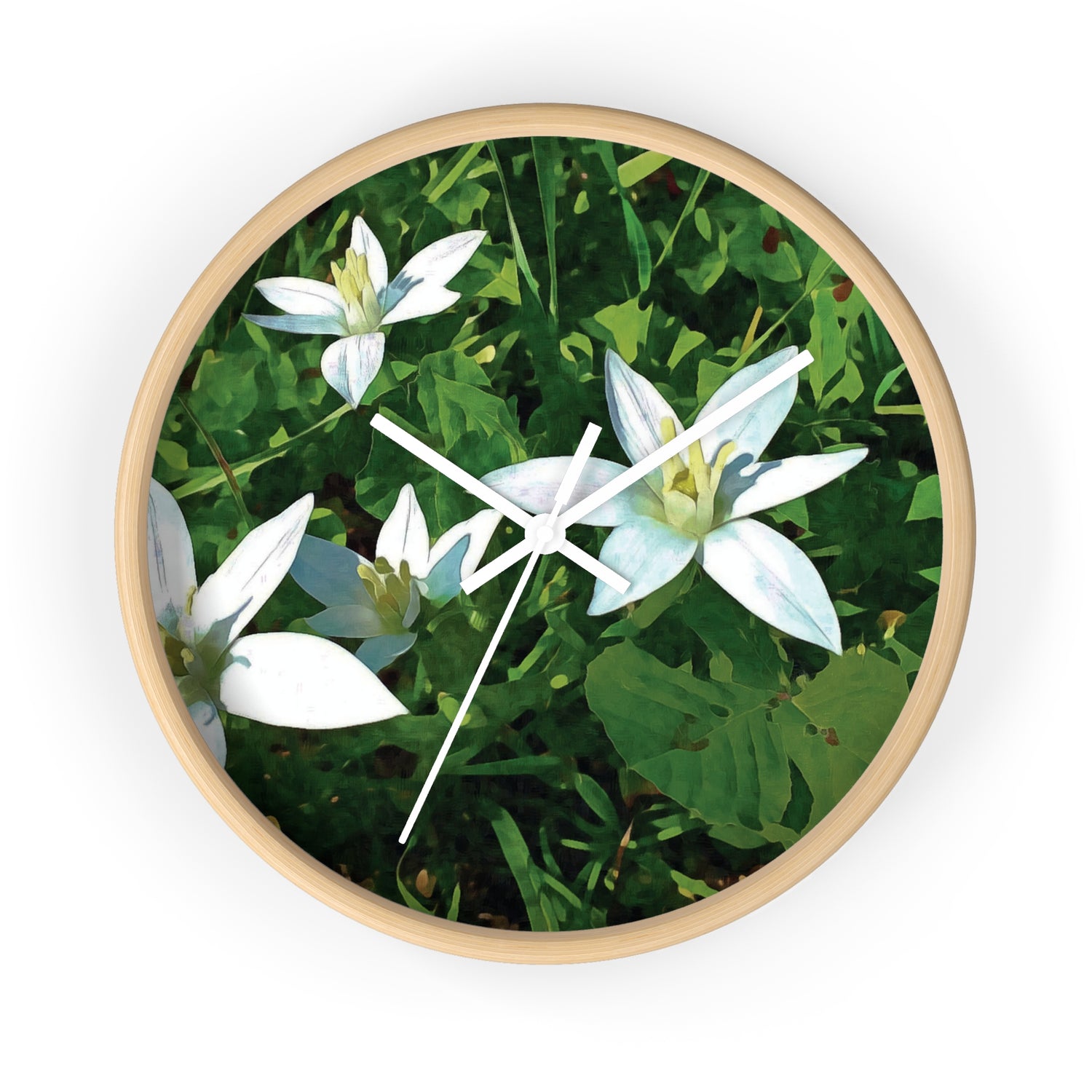 Wall Clock - Flower of Ornithogalum (Variant 2)