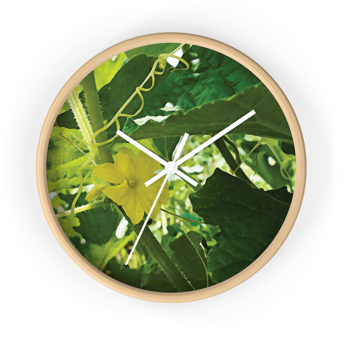 Wall Clock - Flower of Cucumber