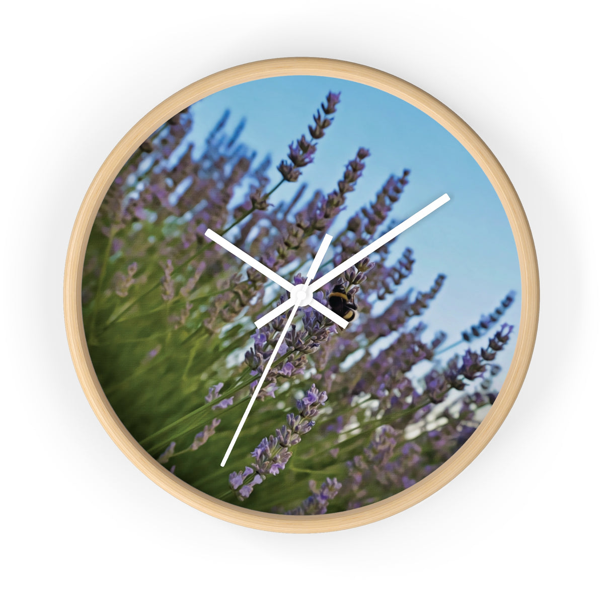 Wall Clock - Flower of Lavender with Bombus Insect (Variant 1)