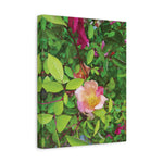 Stretched Matte Canvas - Flower of Rose