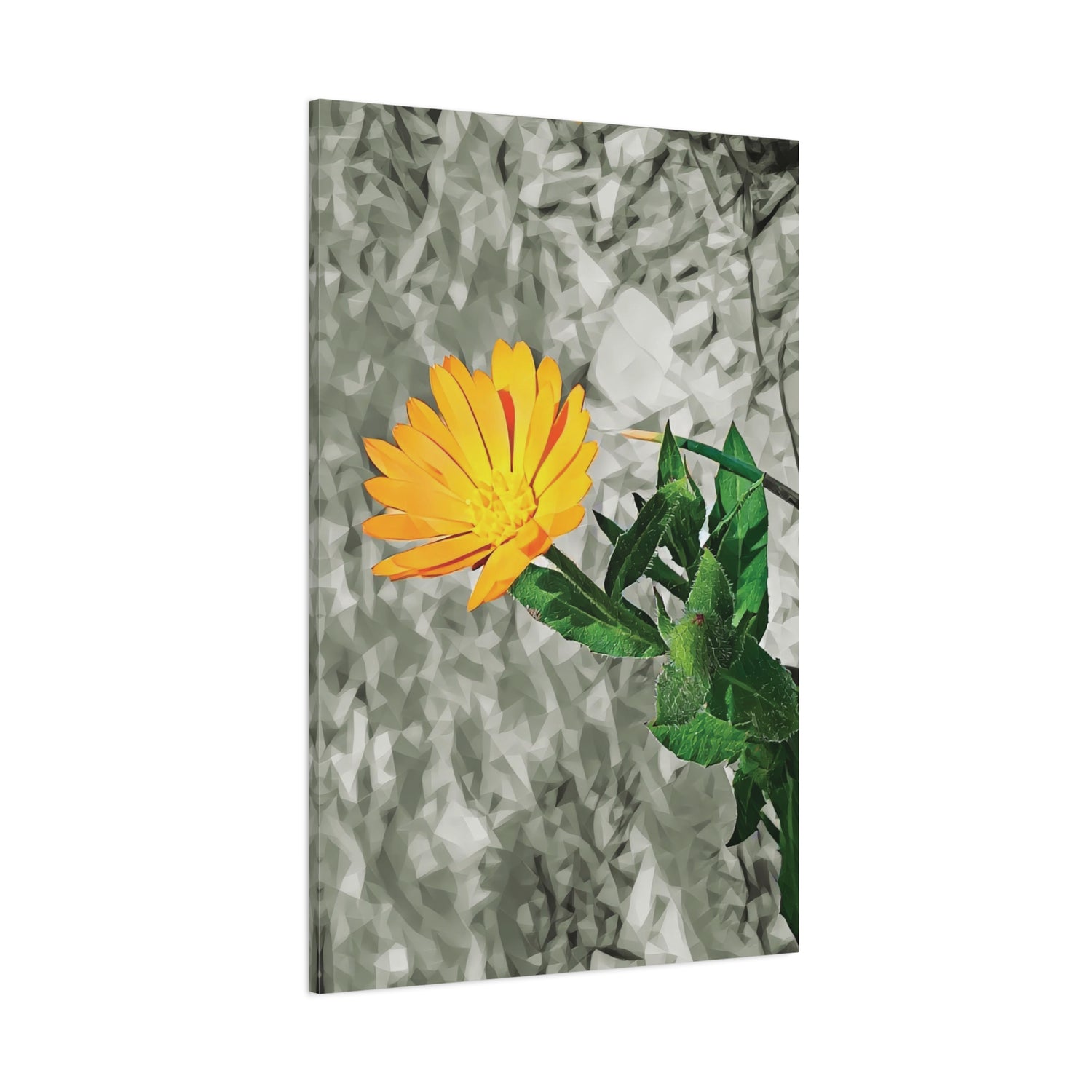 Stretched Matte Canvas - Poly Art - Flower of Calendula (Variant 1)