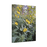 Stretched Matte Canvas - Poly Art - Flower of Lysimachia