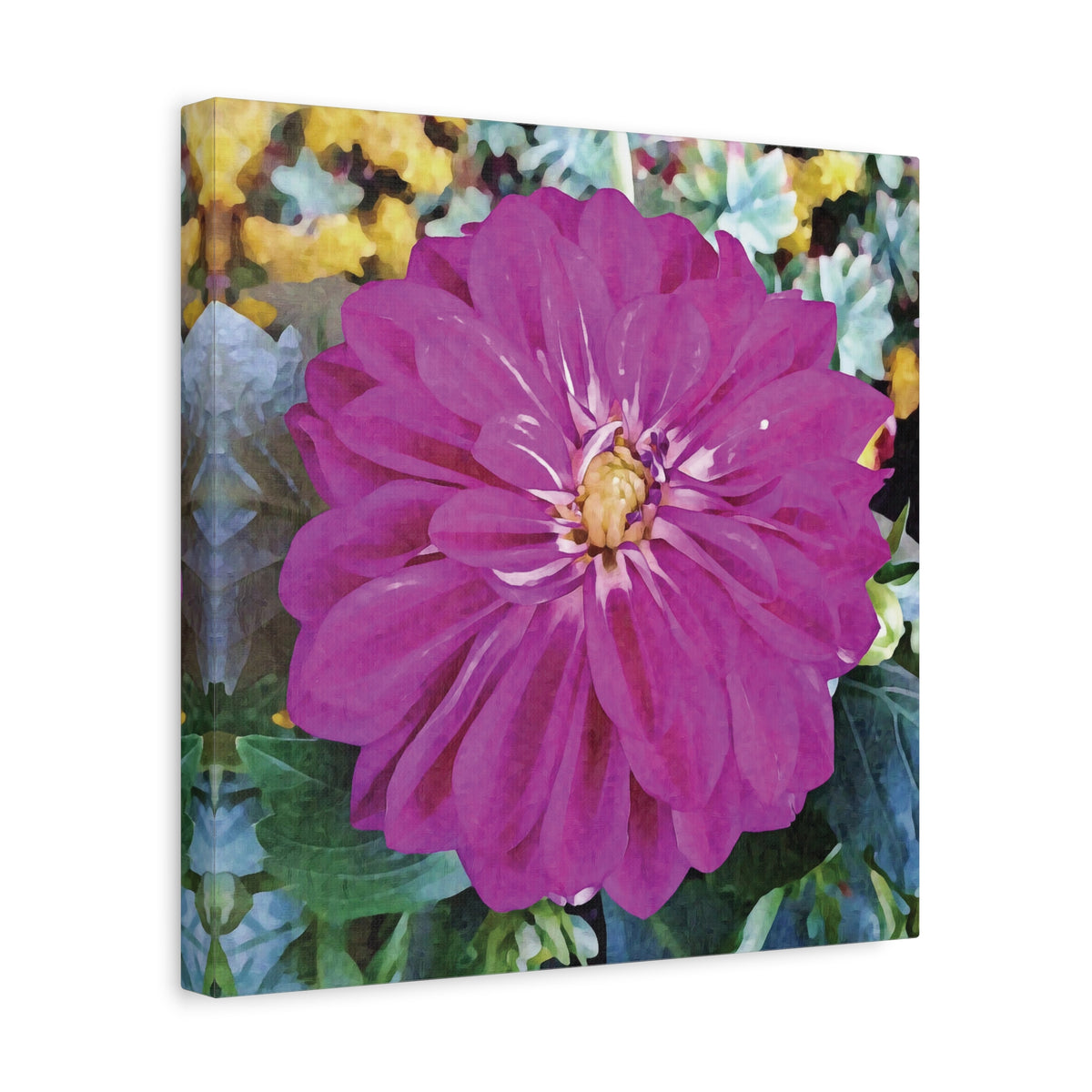 Stretched Matte Canvas - Flower of Dahlia