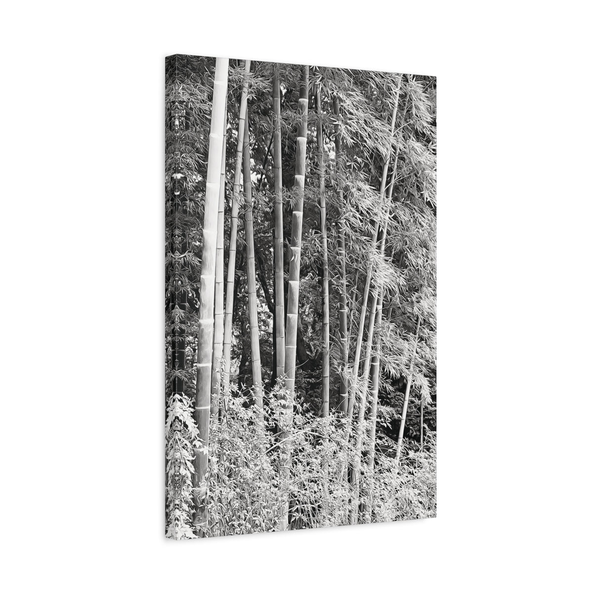 Stretched Matte Canvas - Bamboo (B&W variant)