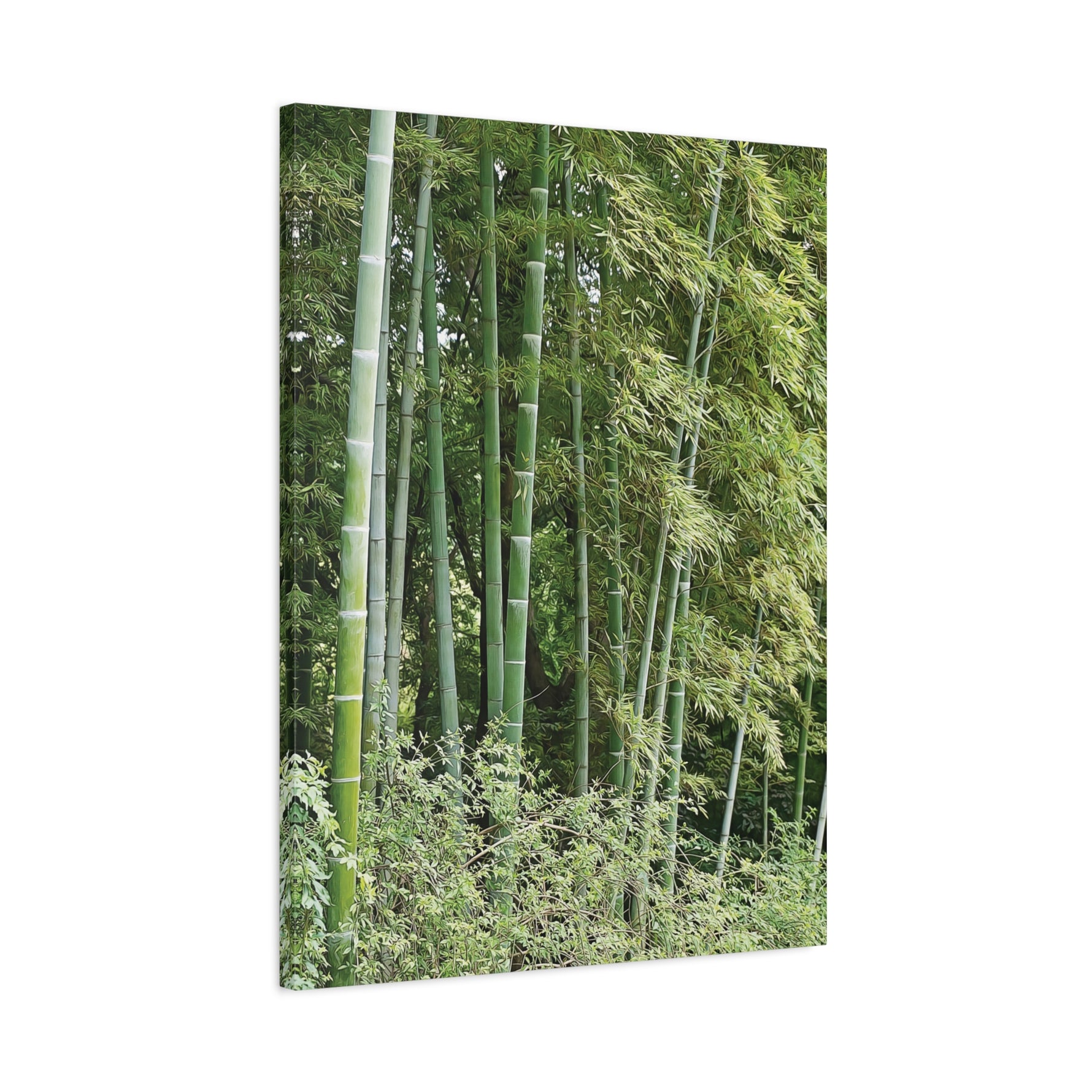 Stretched Matte Canvas - Bamboo (Variant 1)