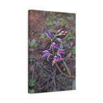 Stretched Matte Canvas - Poly Art - Flower of Cephalanthera Rubra