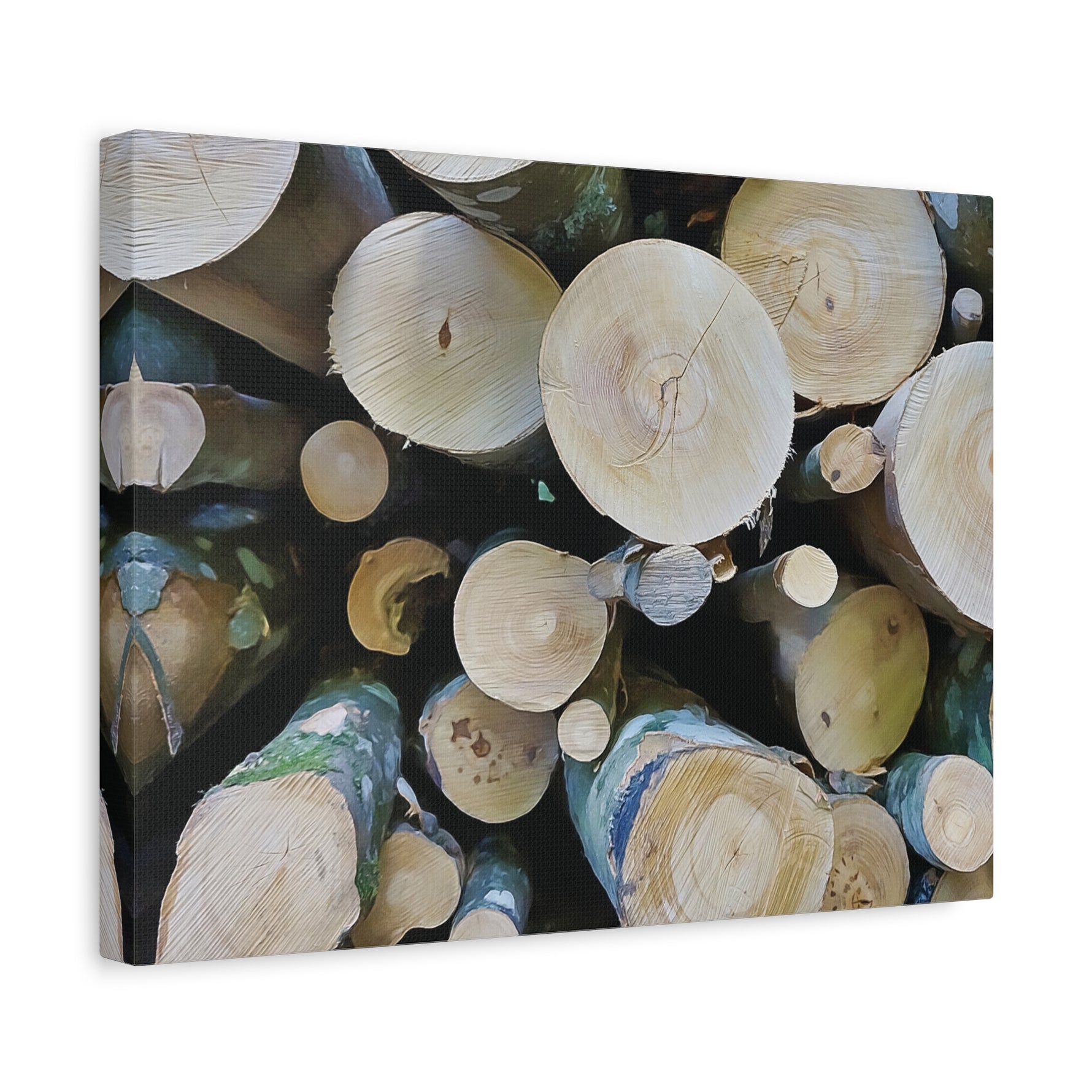 Stretched Matte Canvas - Wooden Trunks (Variant 1)