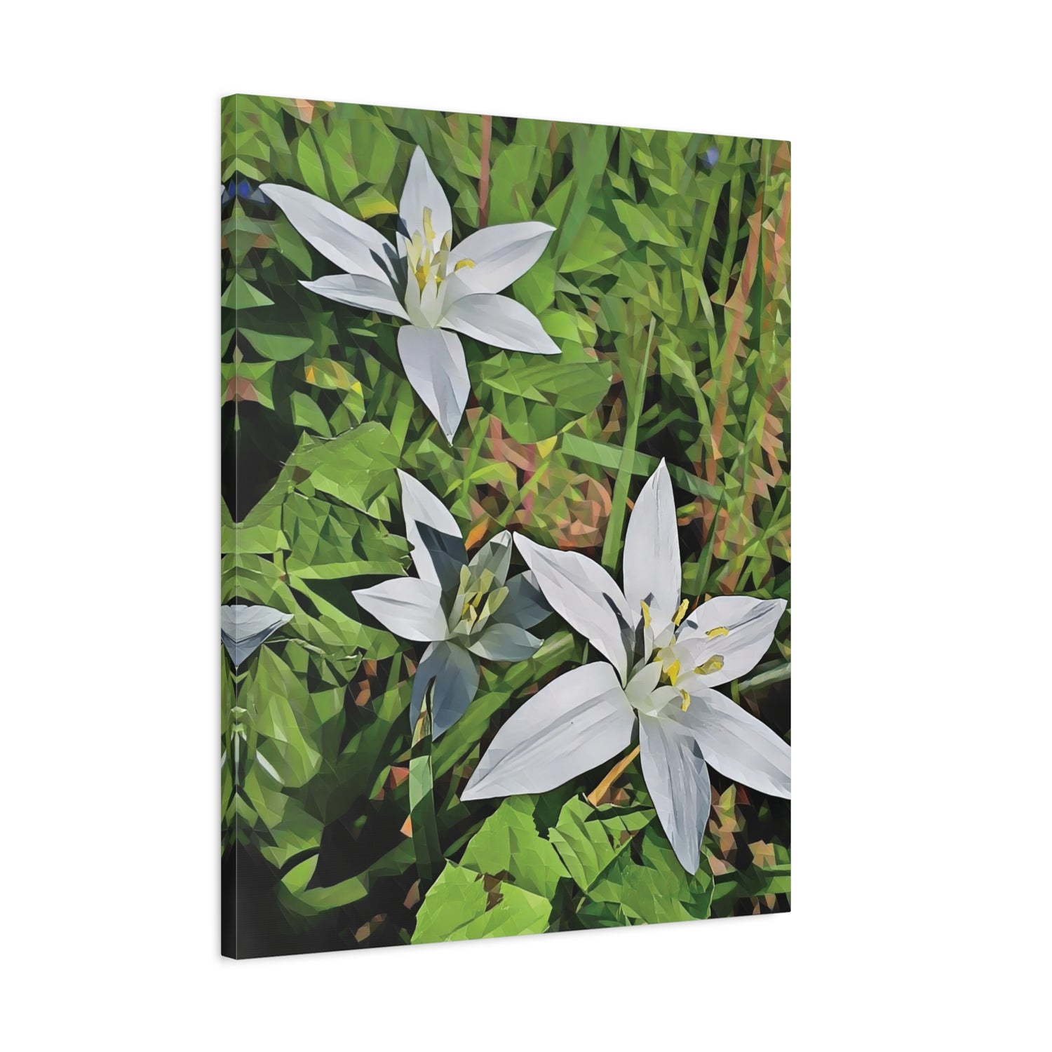 Stretched Matte Canvas - Poly Art - Flower of Ornithogalum (Variant 1)
