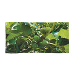 Beach Towel – Fig's Plant