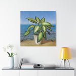 Stretched Matte Canvas - Dieffenbachia plant and Sea Landscape