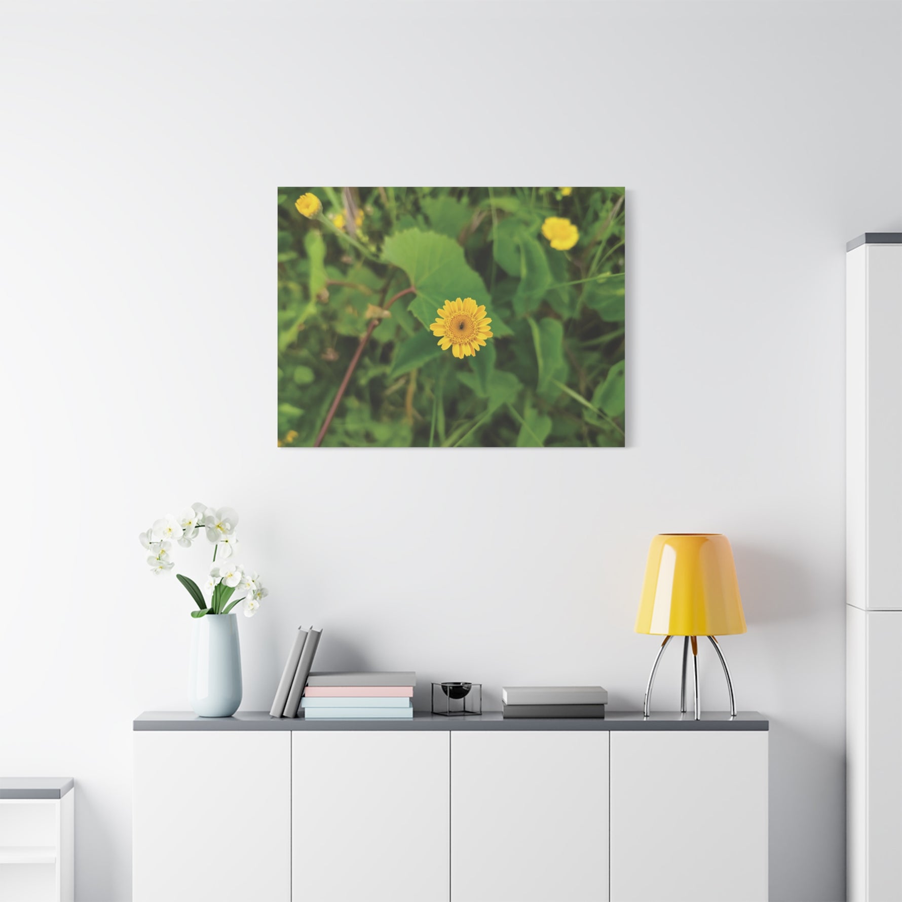 Stretched Matte Canvas - Flower of Crisantemo Campestre (Glebionis Segetum)