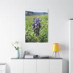 Stretched Matte Canvas - Poly Art - Flower of Muscari
